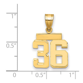 14k Yellow Gold Small Polished Number 36 Charm SP36