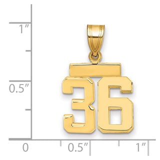 14k Yellow Gold Small Polished Number 36 Charm SP36