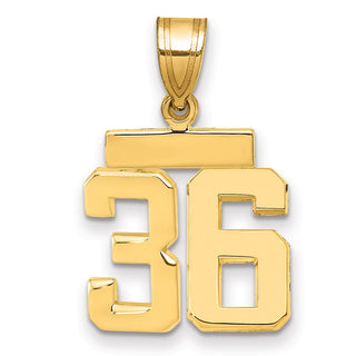 14k Yellow Gold Small Polished Number 36 Charm SP36