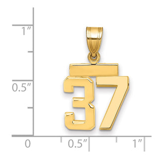 14k Yellow Gold Small Polished Number 37 Charm SP37