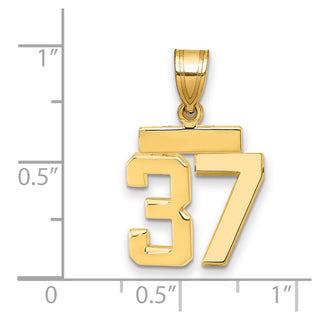 14k Yellow Gold Small Polished Number 37 Charm SP37