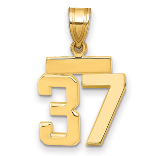14k Yellow Gold Small Polished Number 37 Charm SP37