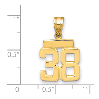 14k Yellow Gold Small Polished Number 38 Charm SP38
