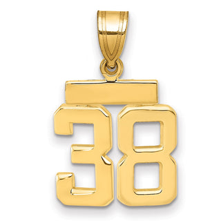 14k Yellow Gold Small Polished Number 38 Charm SP38