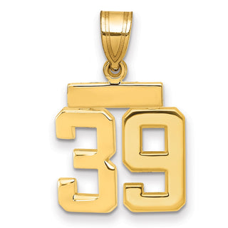 14k Yellow Gold Small Polished Number 39 Charm SP39