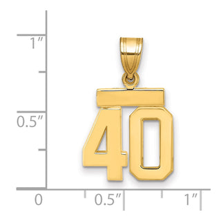 14k Yellow Gold Small Polished Number 40 Charm SP40