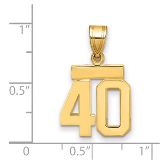 14k Yellow Gold Small Polished Number 40 Charm SP40