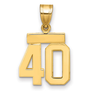 14k Yellow Gold Small Polished Number 40 Charm SP40