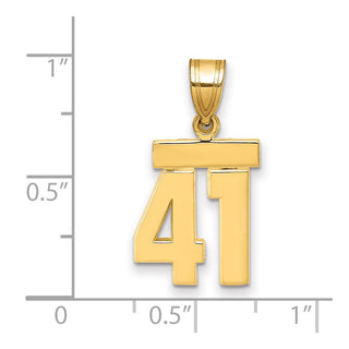 14k Yellow Gold Small Polished Number 41 Charm SP41