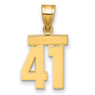 14k Yellow Gold Small Polished Number 41 Charm SP41
