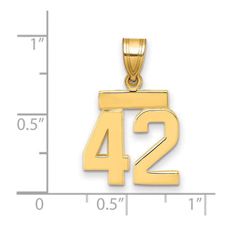 14k Yellow Gold Small Polished Number 42 Charm SP42