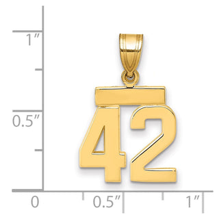 14k Yellow Gold Small Polished Number 42 Charm SP42
