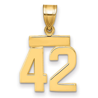14k Yellow Gold Small Polished Number 42 Charm SP42