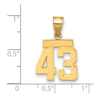 14k Yellow Gold Small Polished Number 43 Charm SP43