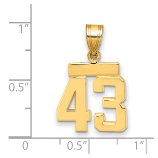 14k Yellow Gold Small Polished Number 43 Charm SP43