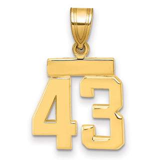 14k Yellow Gold Small Polished Number 43 Charm SP43