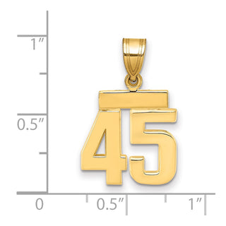 14k Yellow Gold Small Polished Number 45 Charm SP45