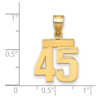 14k Yellow Gold Small Polished Number 45 Charm SP45