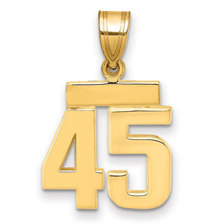 14k Yellow Gold Small Polished Number 45 Charm SP45