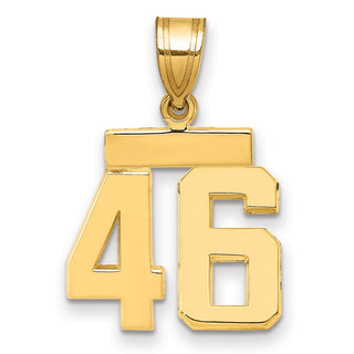 14k Yellow Gold Small Polished Number 46 Charm SP46