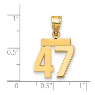 14k Yellow Gold Small Polished Number 47 Charm SP47