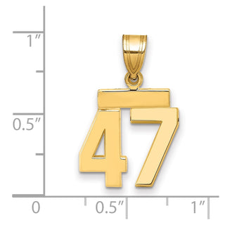 14k Yellow Gold Small Polished Number 47 Charm SP47
