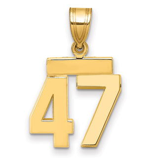 14k Yellow Gold Small Polished Number 47 Charm SP47