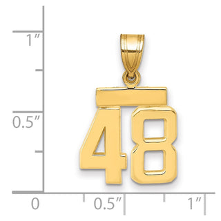 14k Yellow Gold Small Polished Number 48 Charm SP48
