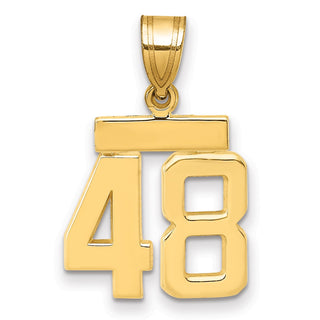 14k Yellow Gold Small Polished Number 48 Charm SP48