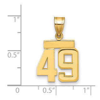 14k Yellow Gold Small Polished Number 49 Charm SP49