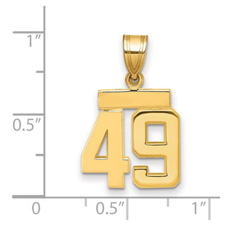 14k Yellow Gold Small Polished Number 49 Charm SP49