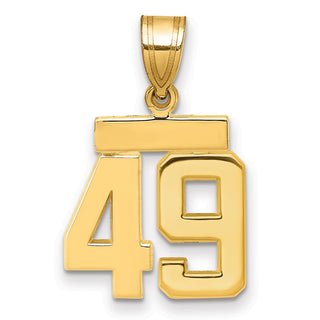 14k Yellow Gold Small Polished Number 49 Charm SP49
