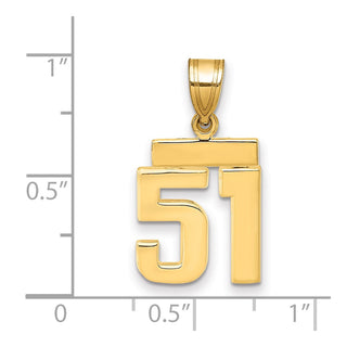 14k Yellow Gold Small Polished Number 51 Charm SP51