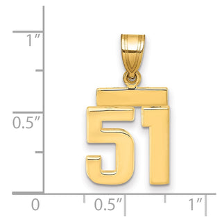 14k Yellow Gold Small Polished Number 51 Charm SP51