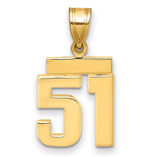 14k Yellow Gold Small Polished Number 51 Charm SP51