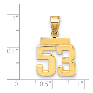 14k Yellow Gold Small Polished Number 53 Charm SP53