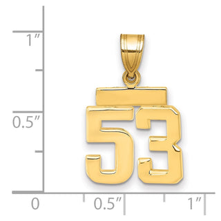 14k Yellow Gold Small Polished Number 53 Charm SP53