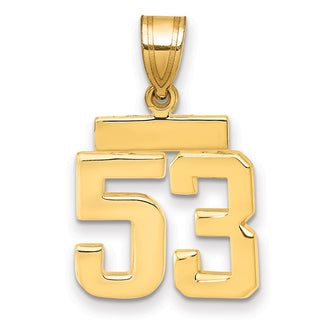 14k Yellow Gold Small Polished Number 53 Charm SP53