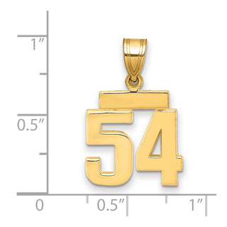 14k Yellow Gold Small Polished Number 54 Charm SP54