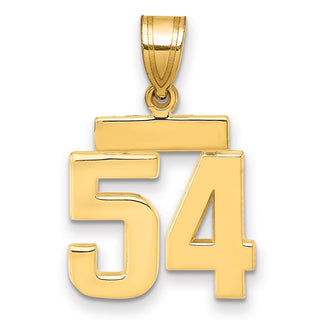 14k Yellow Gold Small Polished Number 54 Charm SP54