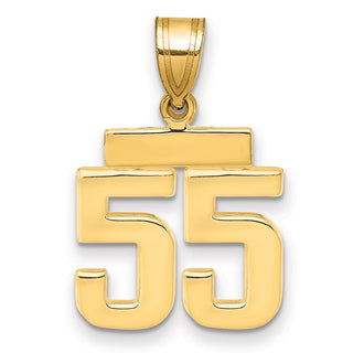 14k Yellow Gold Small Polished Number 55 Charm SP55