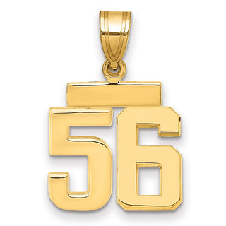 14k Yellow Gold Small Polished Number 56 Charm SP56