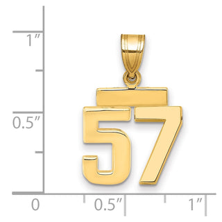 14k Yellow Gold Small Polished Number 57 Charm SP57