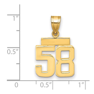 14k Yellow Gold Small Polished Number 58 Charm SP58