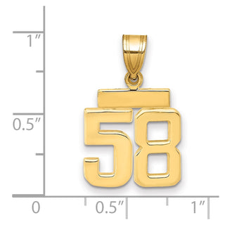 14k Yellow Gold Small Polished Number 58 Charm SP58