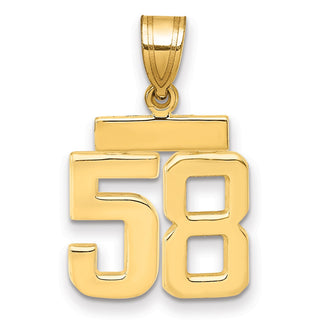 14k Yellow Gold Small Polished Number 58 Charm SP58