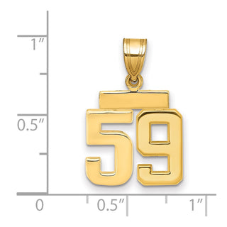 14k Yellow Gold Small Polished Number 59 Charm SP59