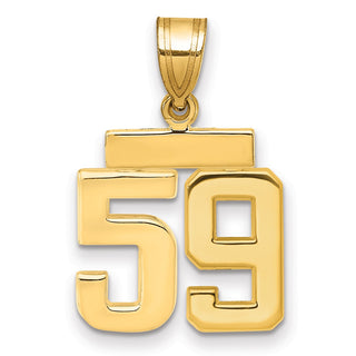 14k Yellow Gold Small Polished Number 59 Charm SP59