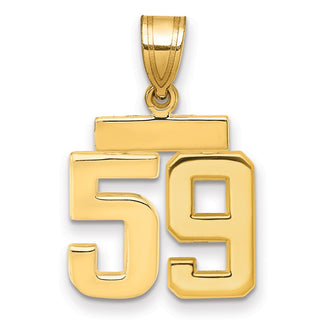 14k Yellow Gold Small Polished Number 59 Charm SP59
