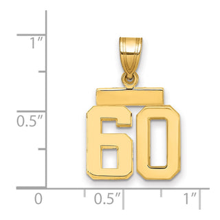 14k Yellow Gold Small Polished Number 60 Charm SP60